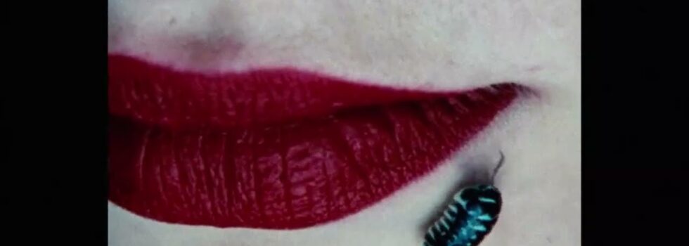 LEEAAV – Flashbacks (Feat. Pinky Promise)