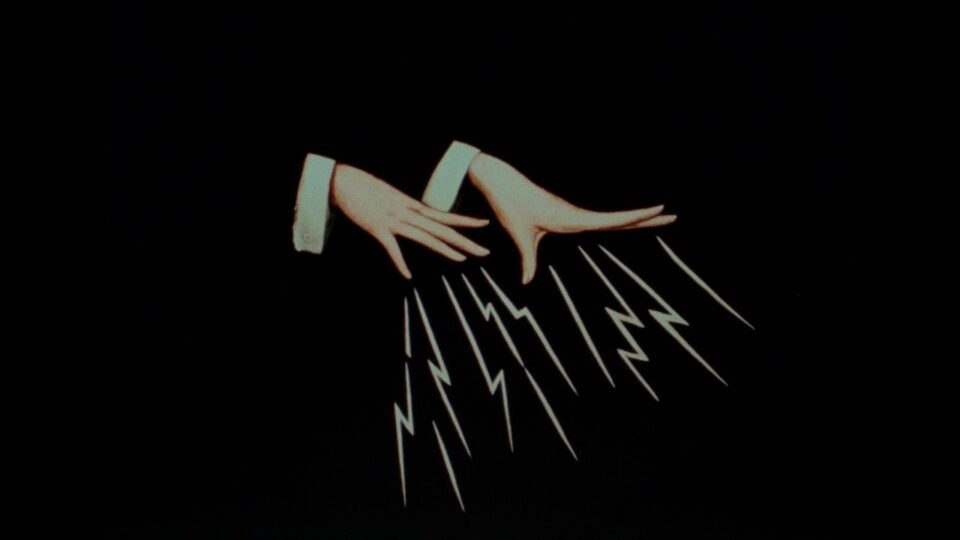 Lucy Rose – Scared of Loving Wild Again