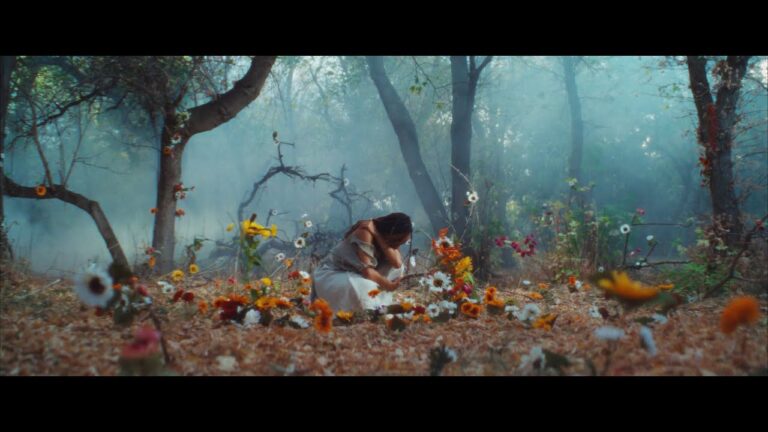 Of The Trees – Dolori music video