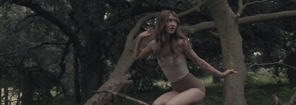 Peach PRC – Eucalyptus