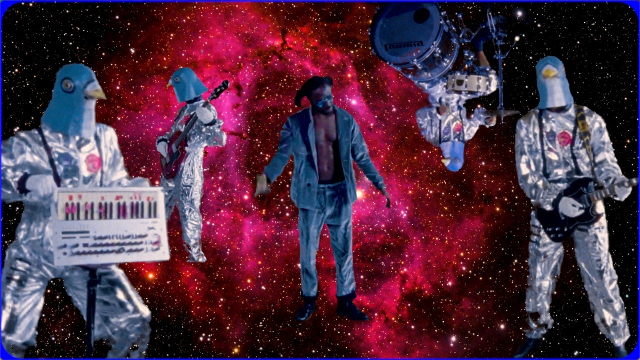 Pigeon – Mirror Test