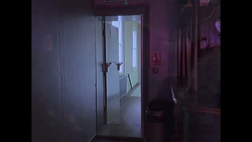 PROJECTOR – It’s True