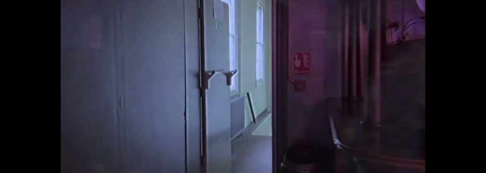 PROJECTOR – It’s True