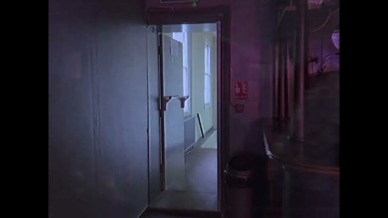 PROJECTOR – It’s True