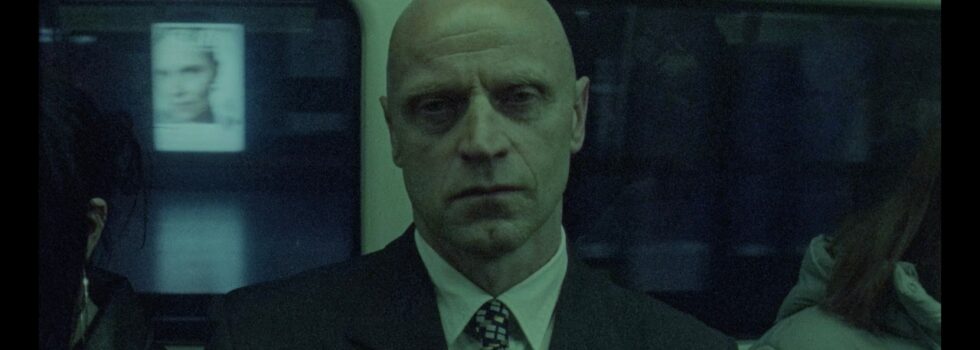 Puma Blue – Mister Lost