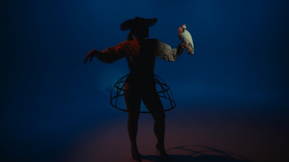 Puma June – Shadows of My Trauma