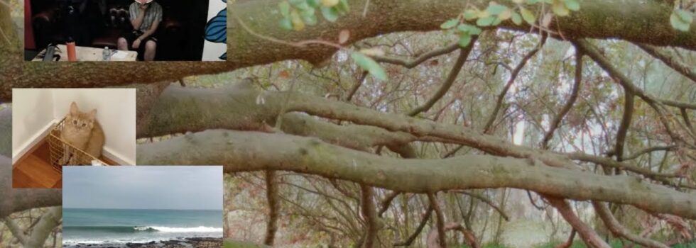 Romanie – Anything or Anyone