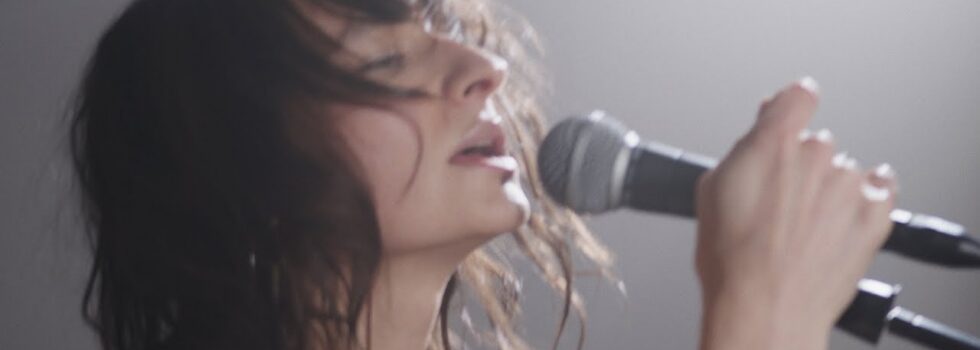 Rosa Damask – Bored