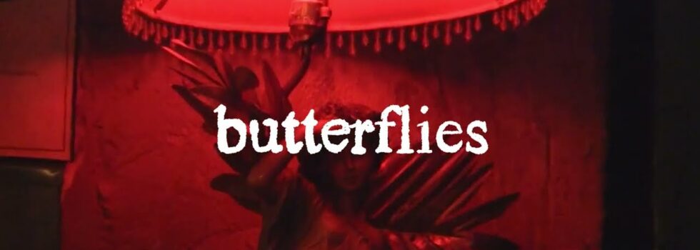 runo plum – butterflies