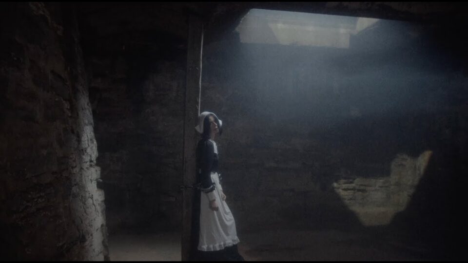 Softcult – Not Sorry