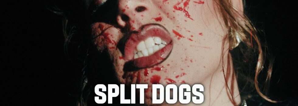 SPLIT DOGS – ROCK ‘N’ ROLL BUSINESS