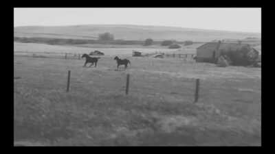 Sunglaciers – Ballad for Eddy