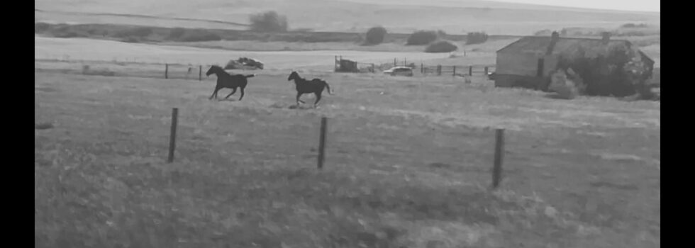 Sunglaciers – Ballad for Eddy