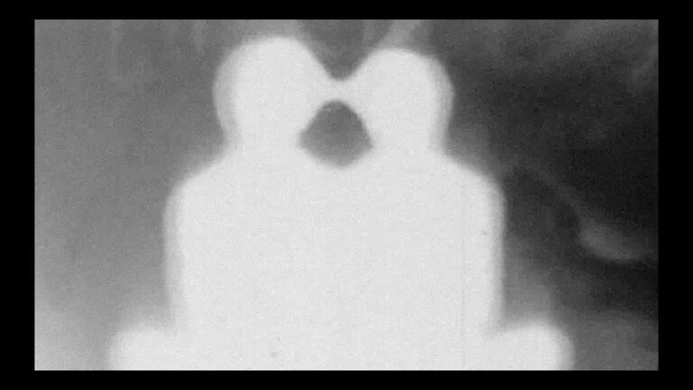 Sunglaciers – Eye to Eye music video