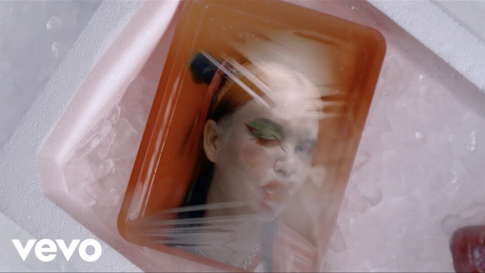 Transviolet – LEECH