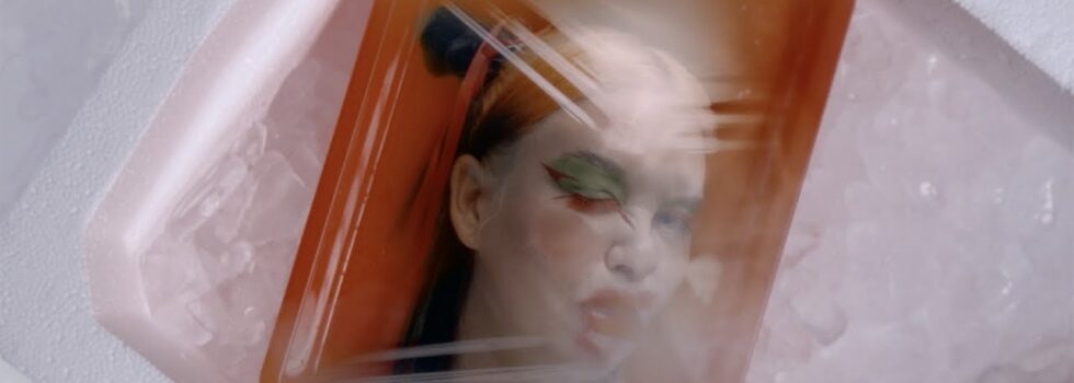 Transviolet – LEECH