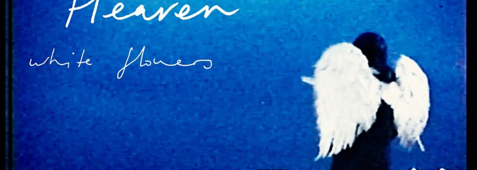 White Flowers – Heaven