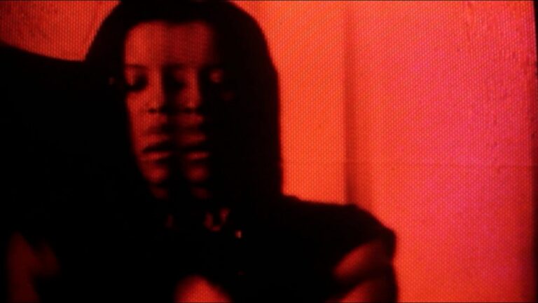 LANNDS – If the Door Closes music video