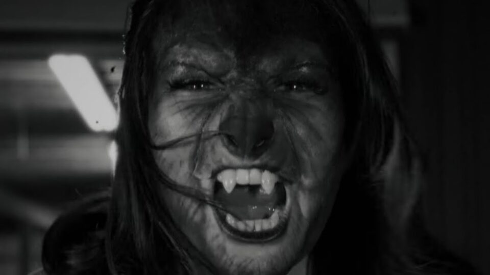 Deer Fang - Howl [official video] — directed by Jay Edonel — music video music video